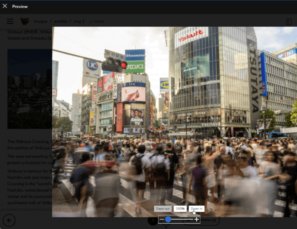 zoom-image-tt.png